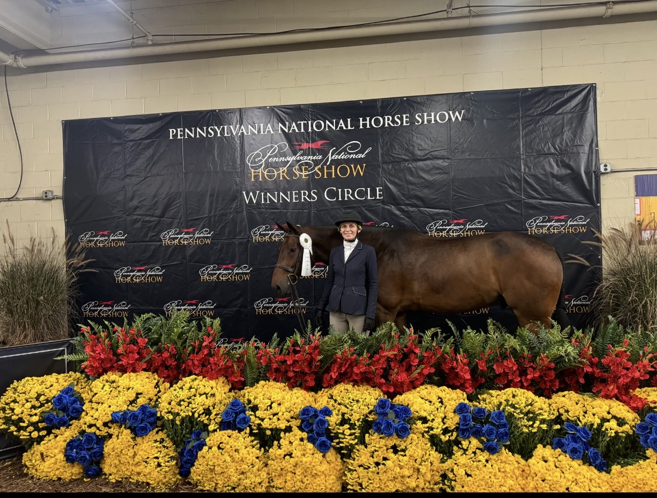 Bay horse wearing a winner's ribbon at the Pennsylvania National Horse Show